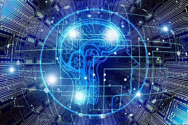 De complete reis: van de evolutie van computers tot programmeren en netwerken